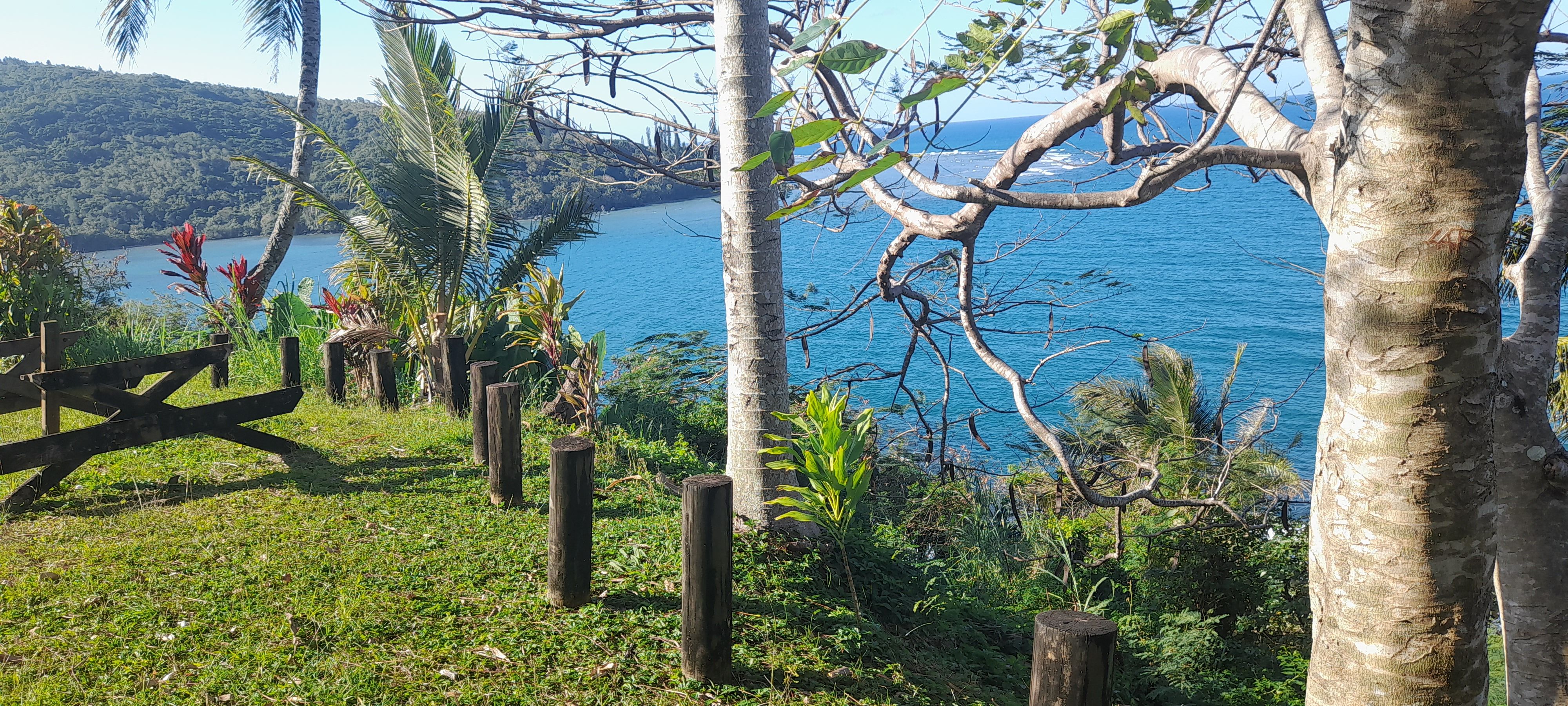 Paysage tropical de Nouvelle-Calédonie Paysage tropical de Nouvelle-Calédonie